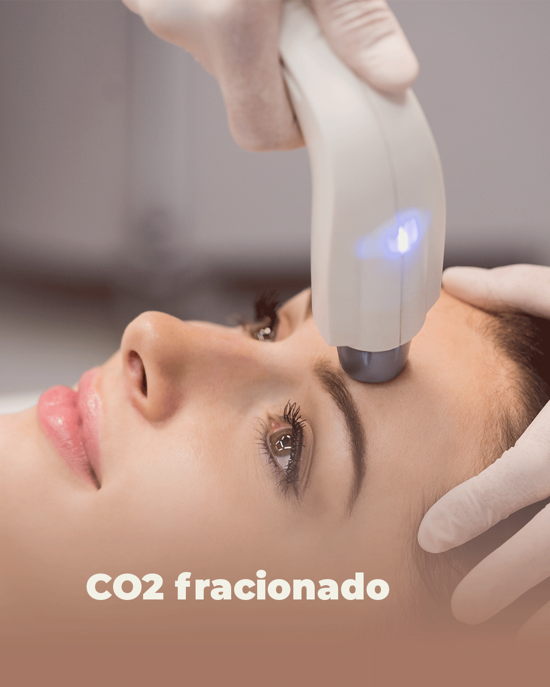 vivipngPrancheta-10